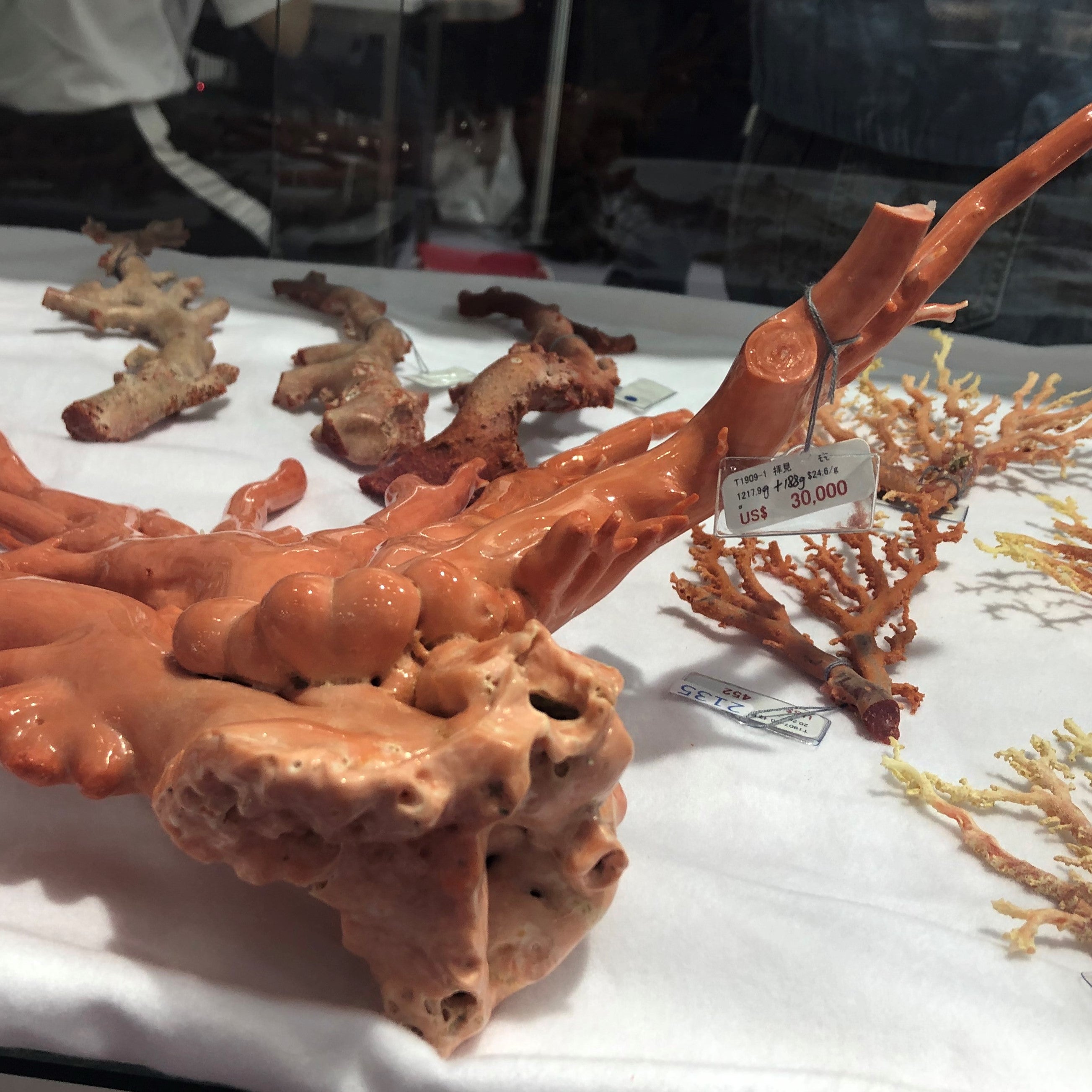 Coral Gemstone - Pink, Red & Angel Skin