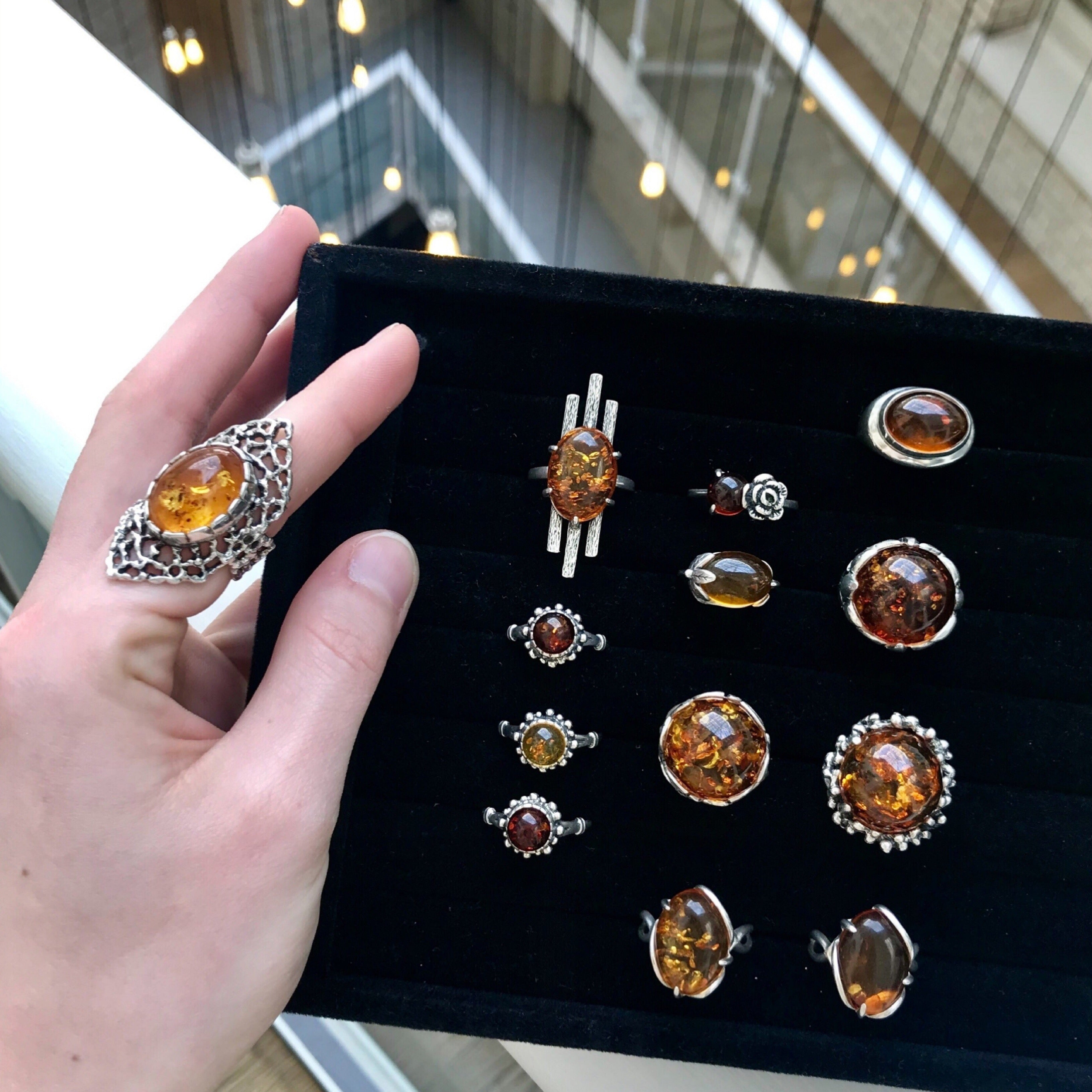 Amber - the time capsule