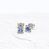 Genuine Sapphire Studs - Minimalist Gold Earrings - Solid Gold Sapphire Studs