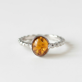 A close-up of vibrant flowers blooming in the garden, showcasing their vivid colors and delicate petals.