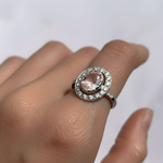 A close-up of vibrant flowers blooming in a lush garden, showcasing a variety of colors and textures.