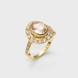 A close-up of a vibrant flower blooming in the sunlight, showcasing its intricate petals and rich colors.