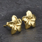 Gold Hawaiian Flower Earrings, Hawaiian Flower Studs, Plumeria Earrings, Frangipani Studs, Exotic Flower Earrings, 18k Gold Vermeil Earrings