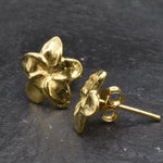 Gold Hawaiian Flower Earrings, Hawaiian Flower Studs, Plumeria Earrings, Frangipani Studs, Exotic Flower Earrings, 18k Gold Vermeil Earrings