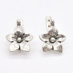 TE-124-E-0S: Sterling Silver 925