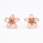 EA020010010-E-0S: Rose Gold Vermeil