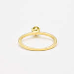 RS-029-R-nYDI: 14k Yellow Gold Diamond