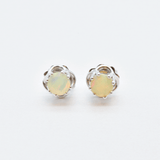 White Gold Opal Studs - Fire Opal Earrings - 18k White Gold Studs