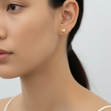 Gold Turtle Earrings - Dainty Gold Tortoise Studs in 18k Gold Vermeil, perfect for daily wear and special gifts.